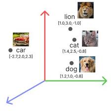 Cat vs Dog Vector Space